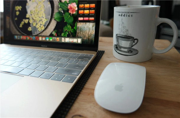 �C�����ھ��Ӵ�