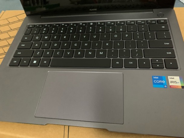 �����w�(y��n)